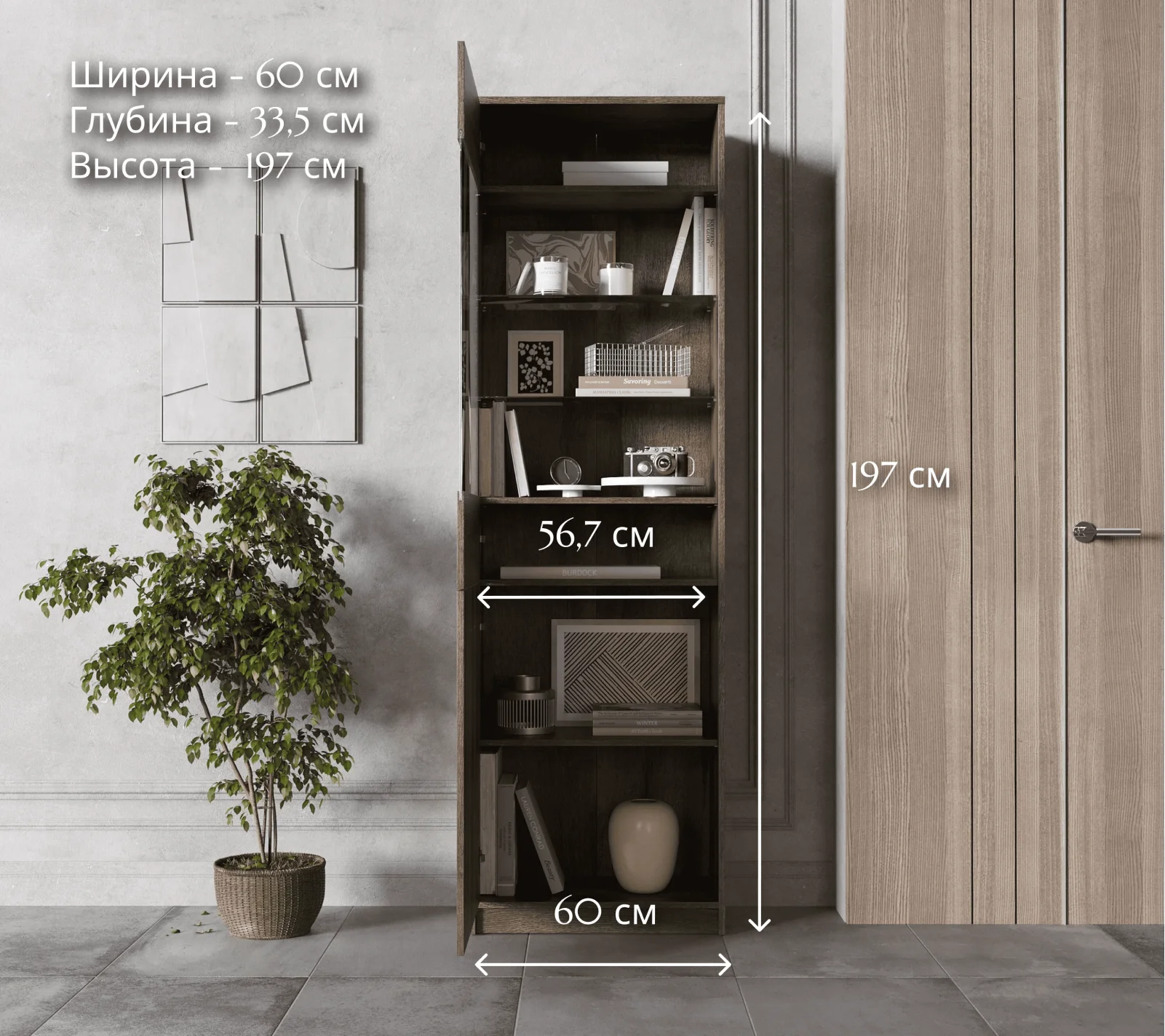 Витрина Непо дуб монастырский REG1D1W_4