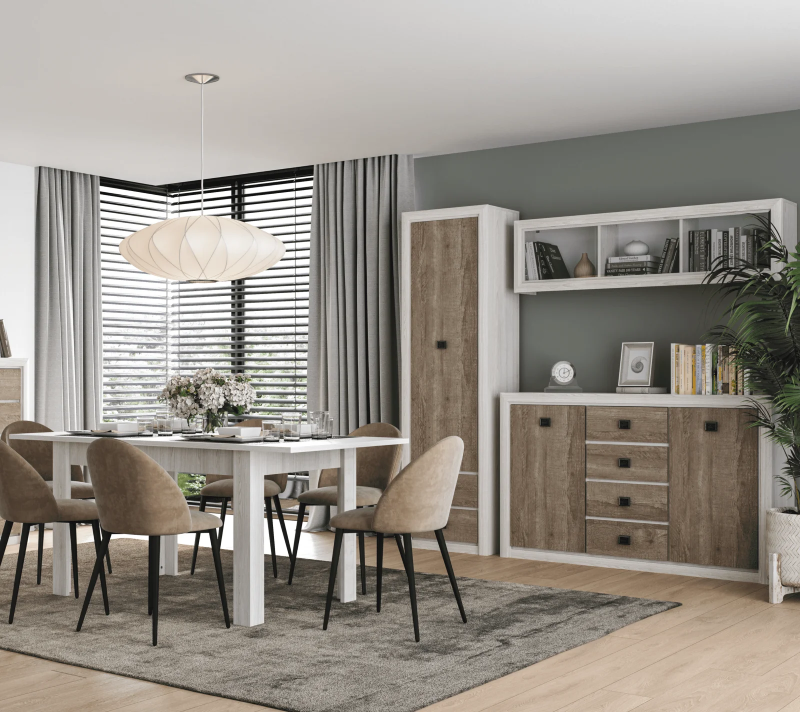 Шкаф Коен ясень снежный REG1D2S_2