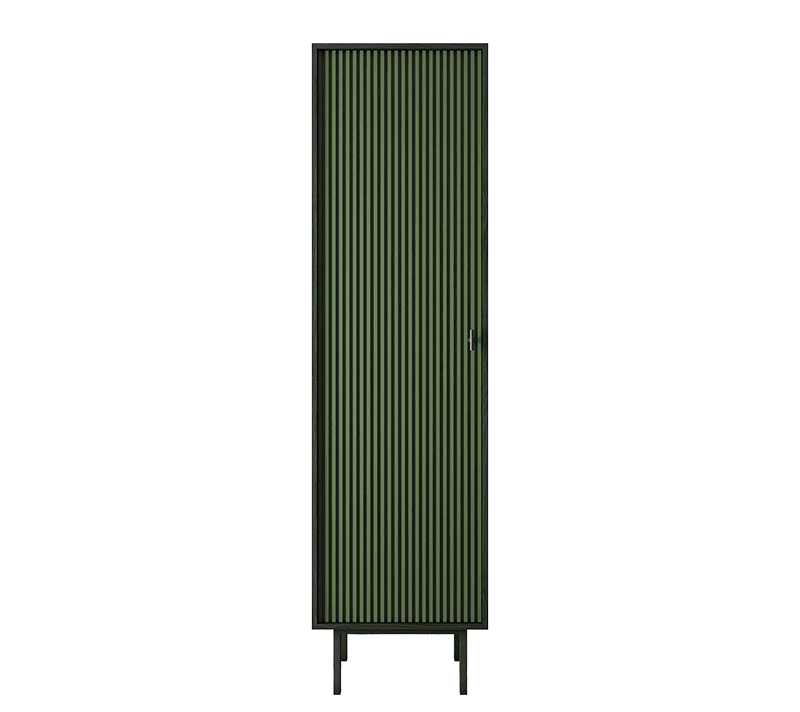 Шкаф Эмерсон зеленый/черный EM101/green/L