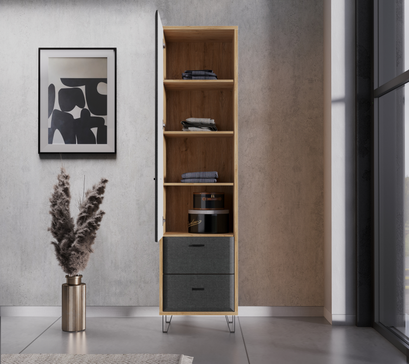 Шкаф Грейс дуб наварра/графит REG1D2S_2