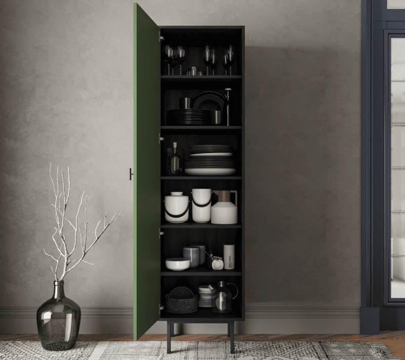 Шкаф Эмерсон зеленый/черный EM101/green/L_2
